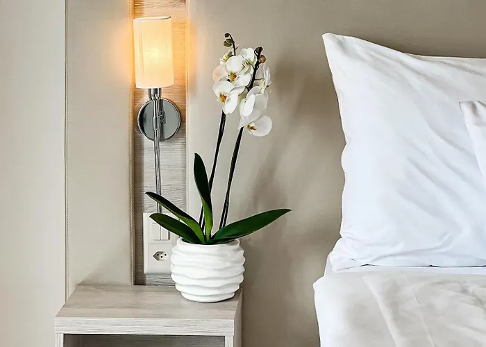 فندق إيدن بالاس أو لاك